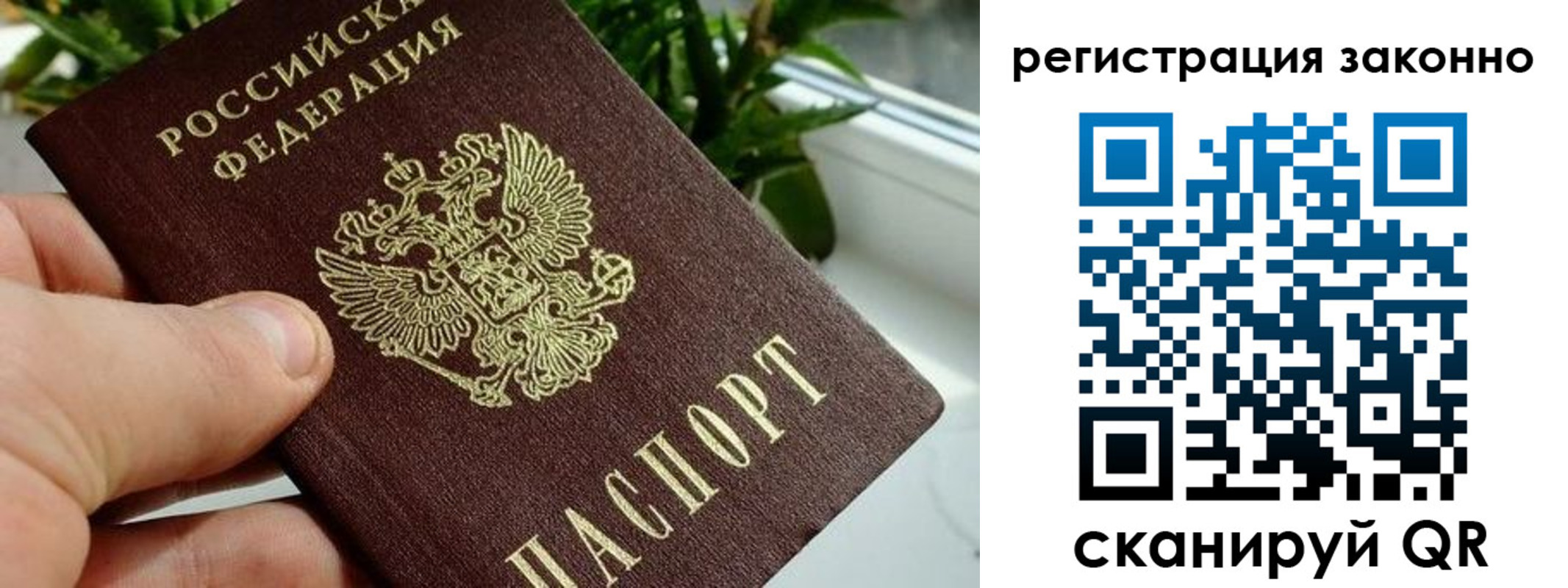 прописка гарантия в Междуреченске